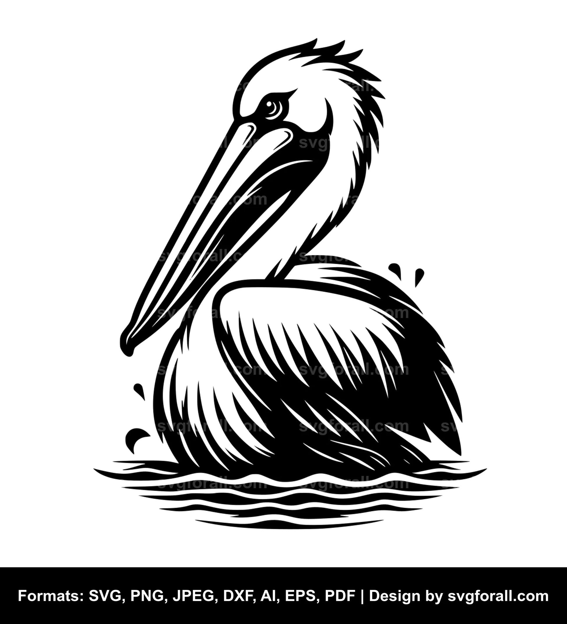 Pelican Bird Clipart SVG