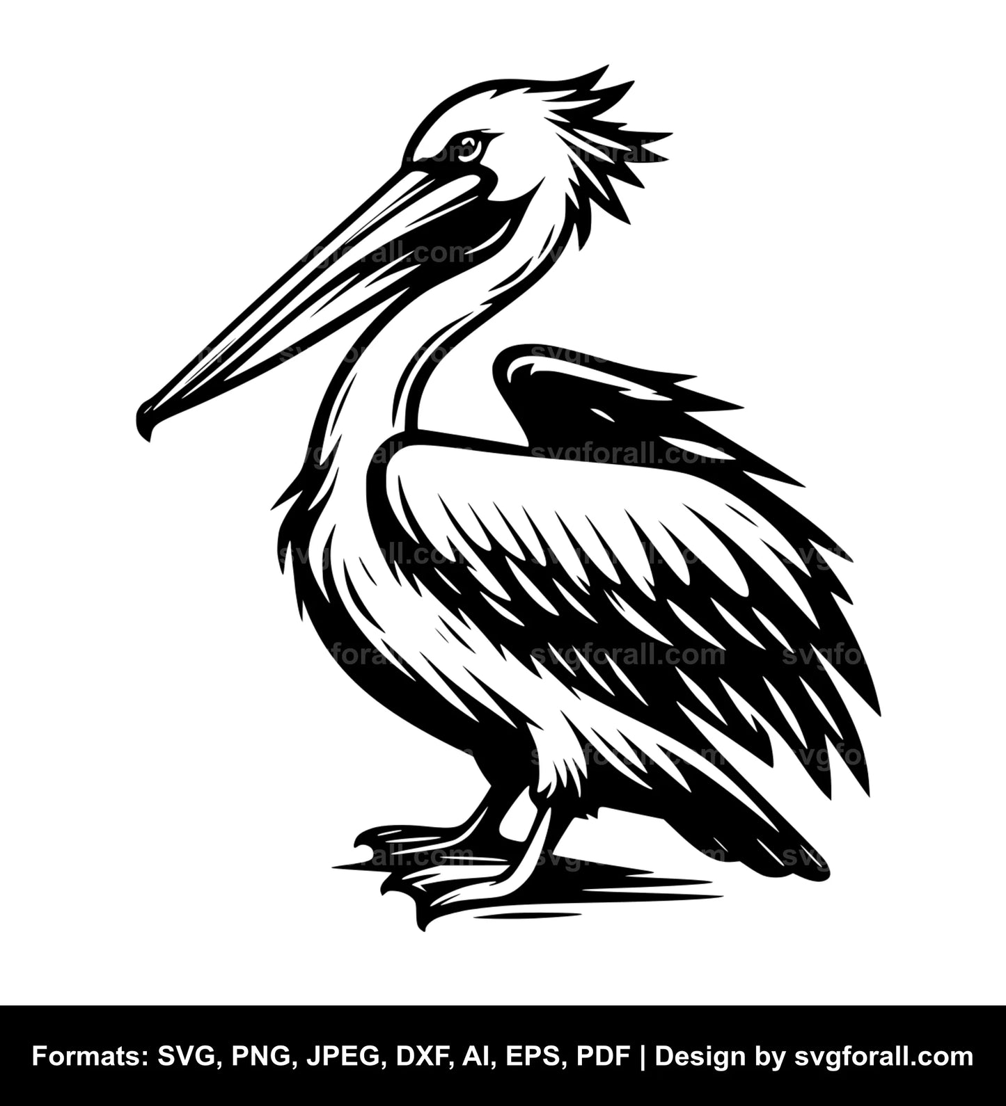 Pelican Bird SVG