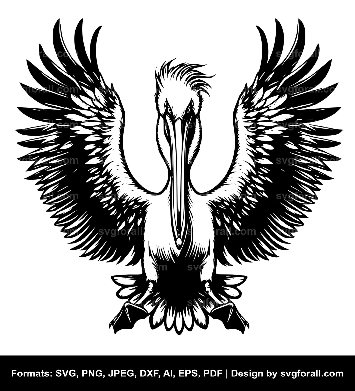 Pelican Bird SVG Clipart