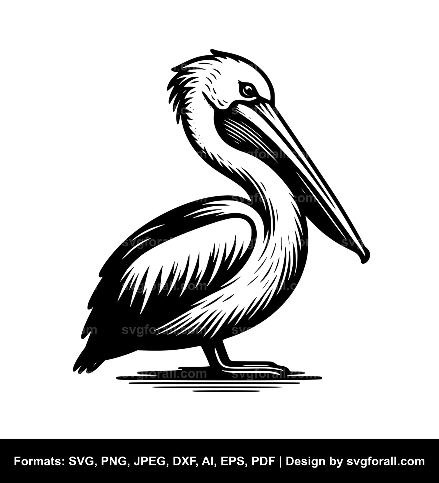 Pelican Bird SVG Design