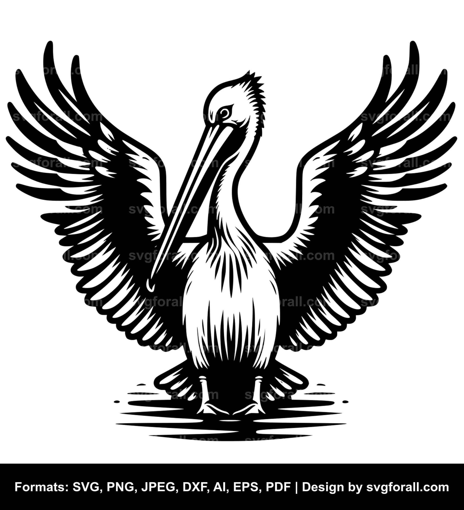 Pelican Bird SVG PNG