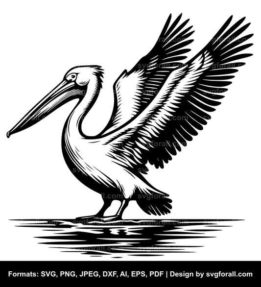 Pelican Bird SVG Vector