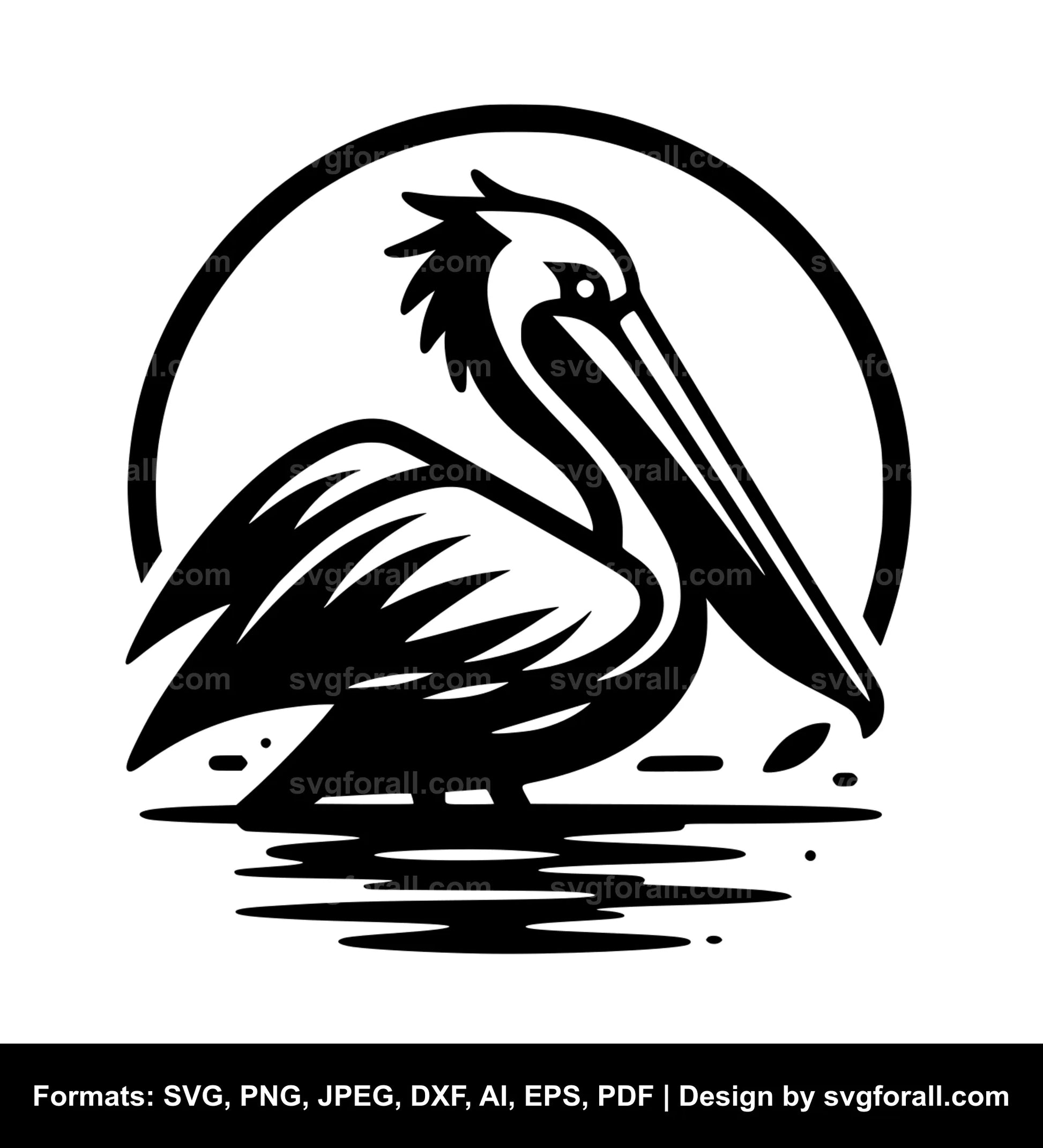 Pelican Bird Vector SVG