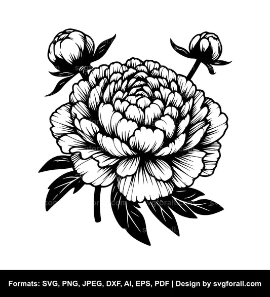 Peony Flower Clipart SVG