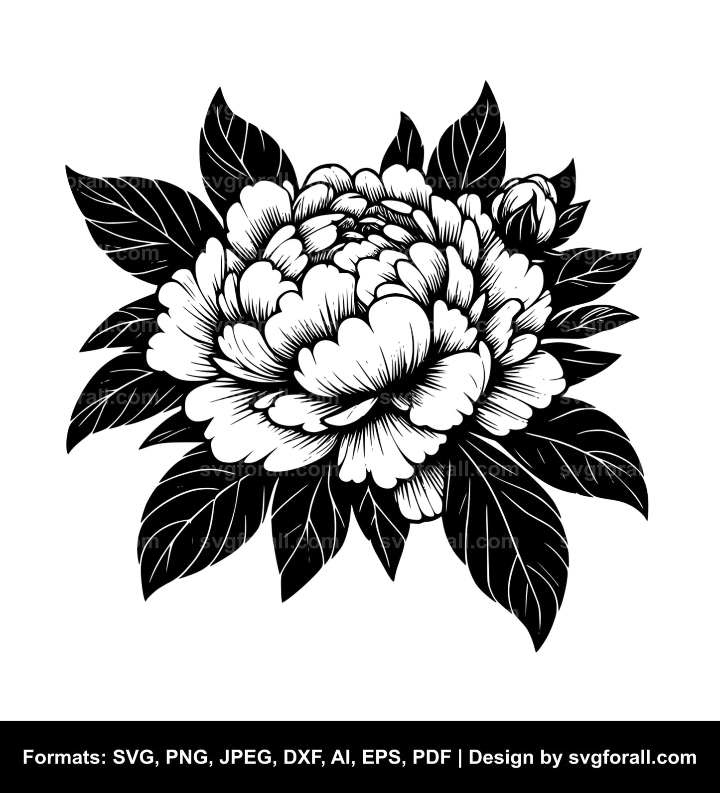 Peony Flower SVG