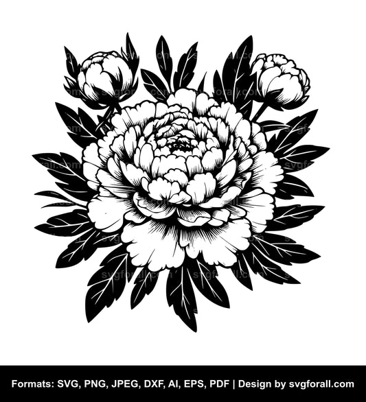 Peony Flower SVG Clipart