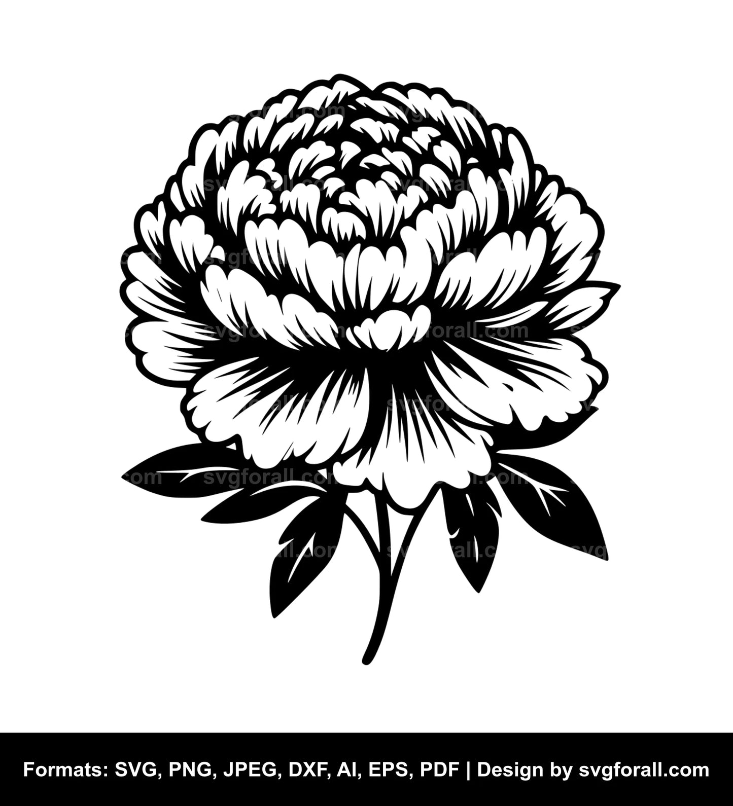 Peony Flower SVG Cut File