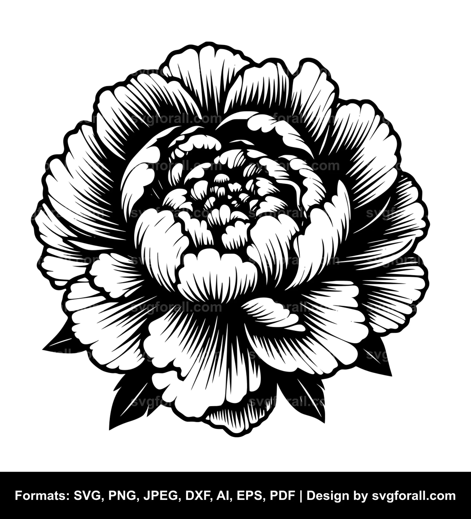 Peony Flower SVG Design