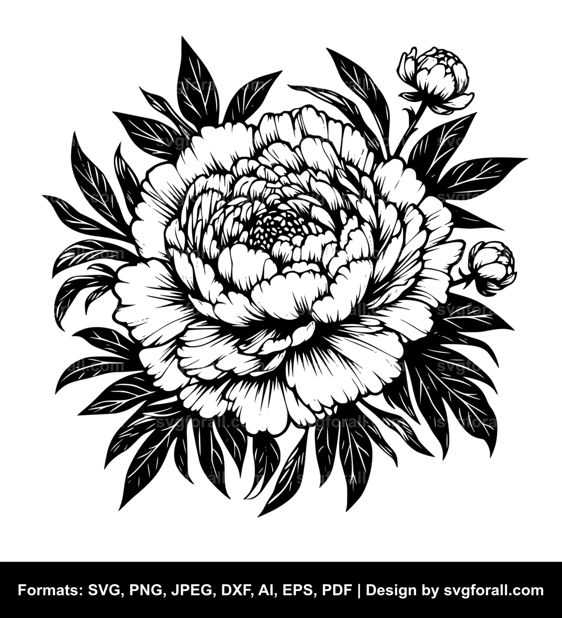 Peony Flower SVG File