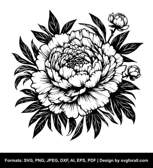 Peony Flower SVG File