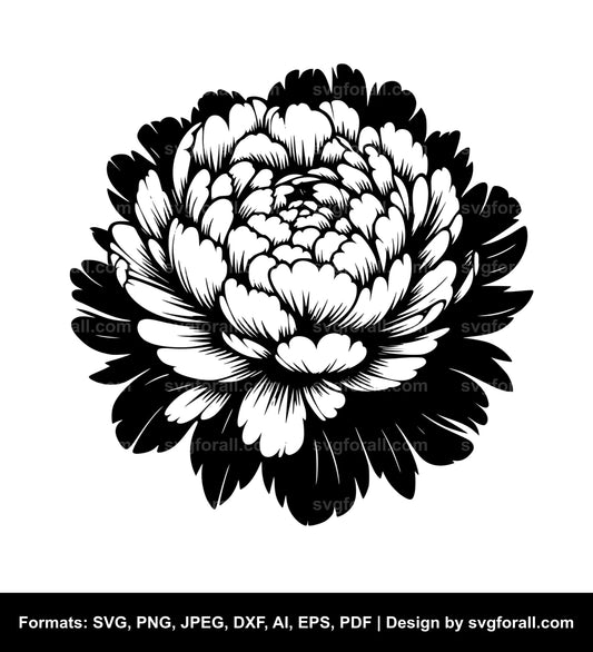 Peony Flower SVG PNG