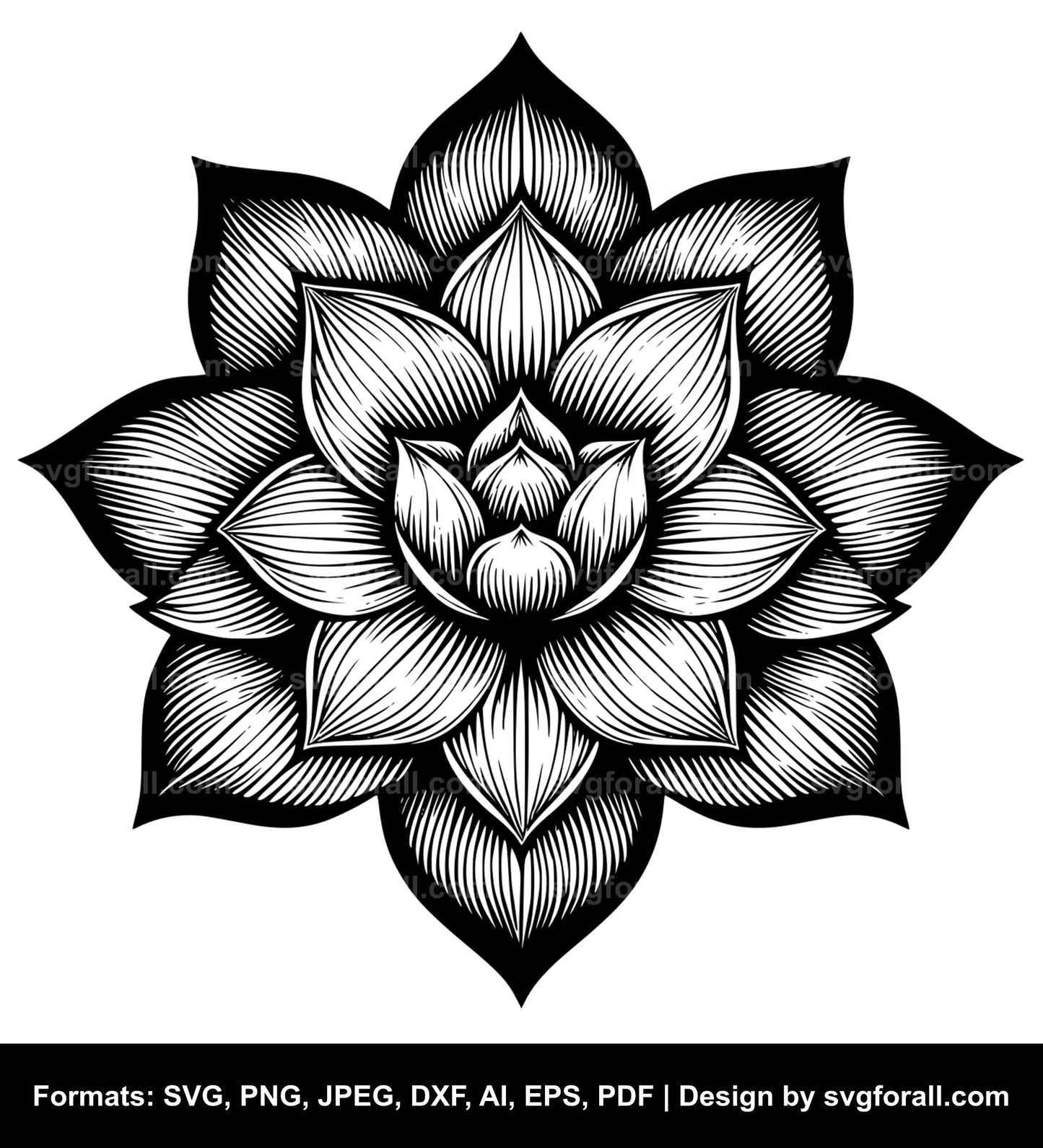 Petal Flower SVG PNG