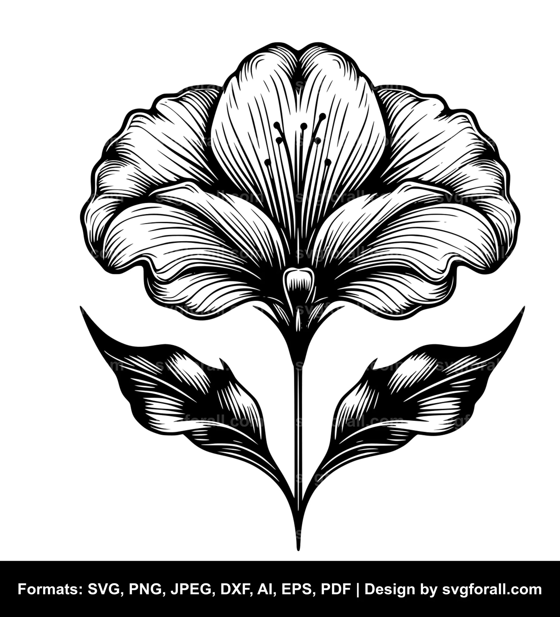 Petal Flower Vector SVG