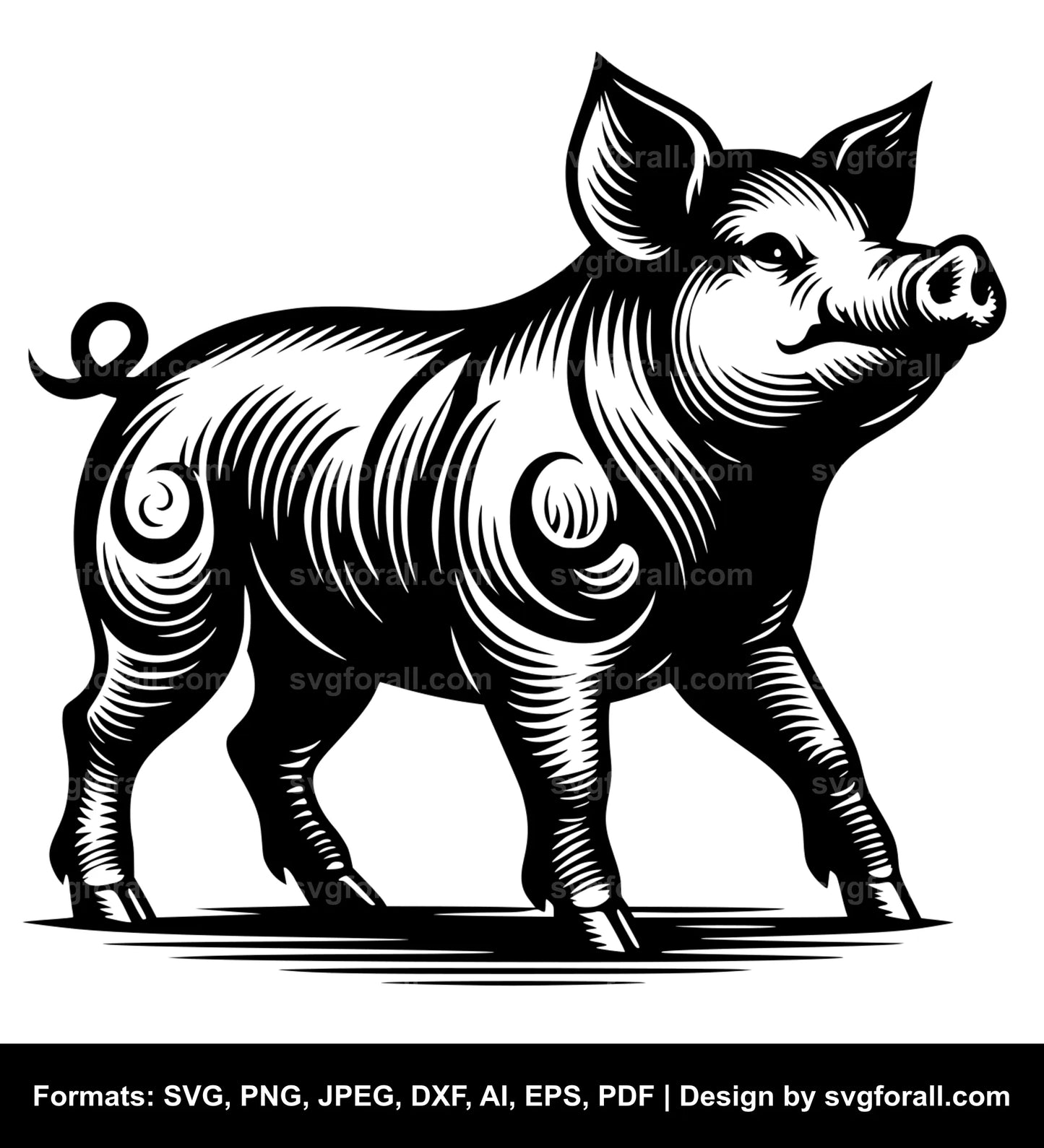 Pig SVG PNG