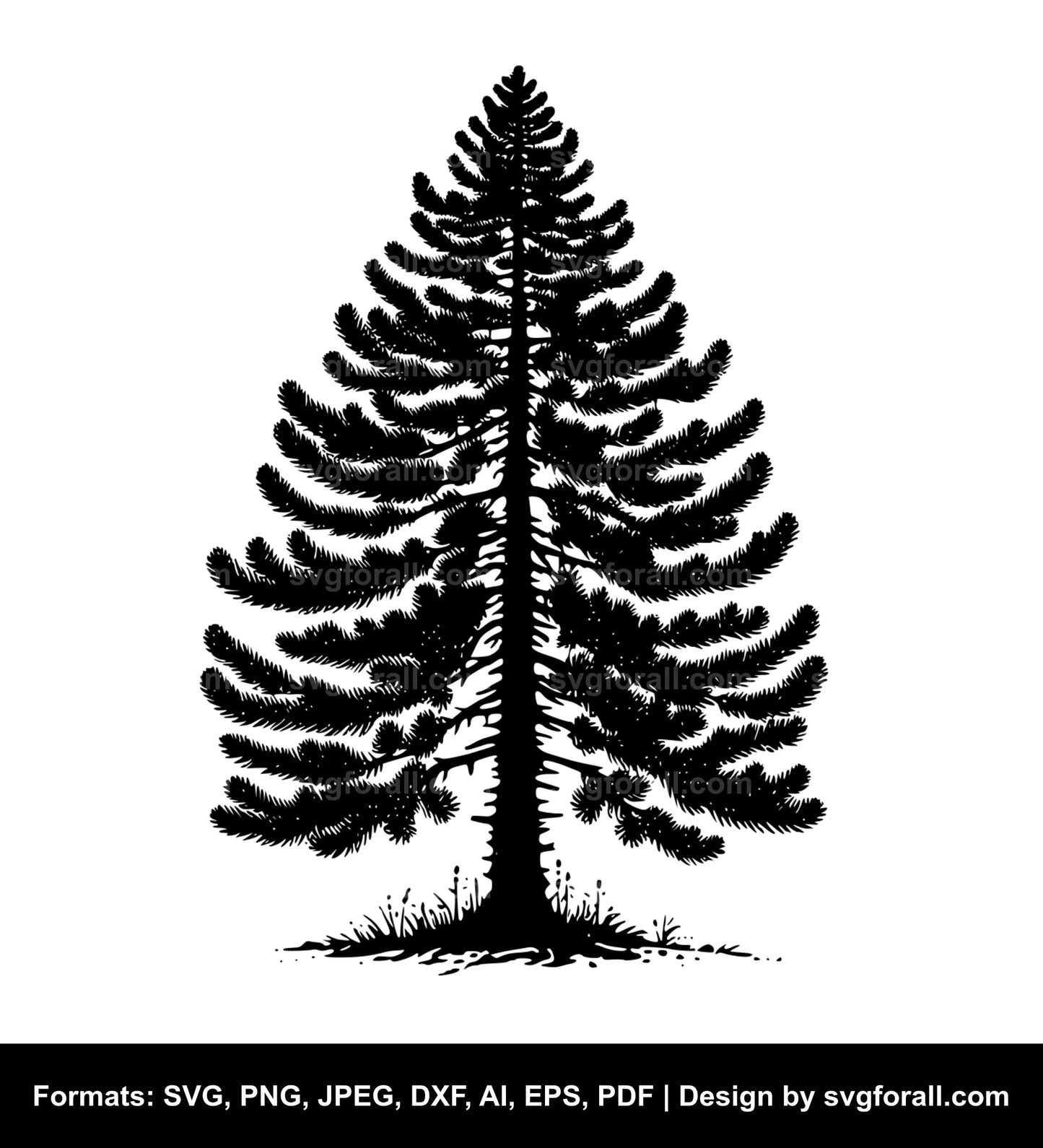 Pine Tree Clipart SVG