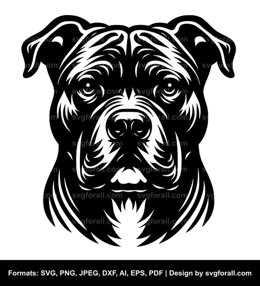 Pitbull Dog SVG File