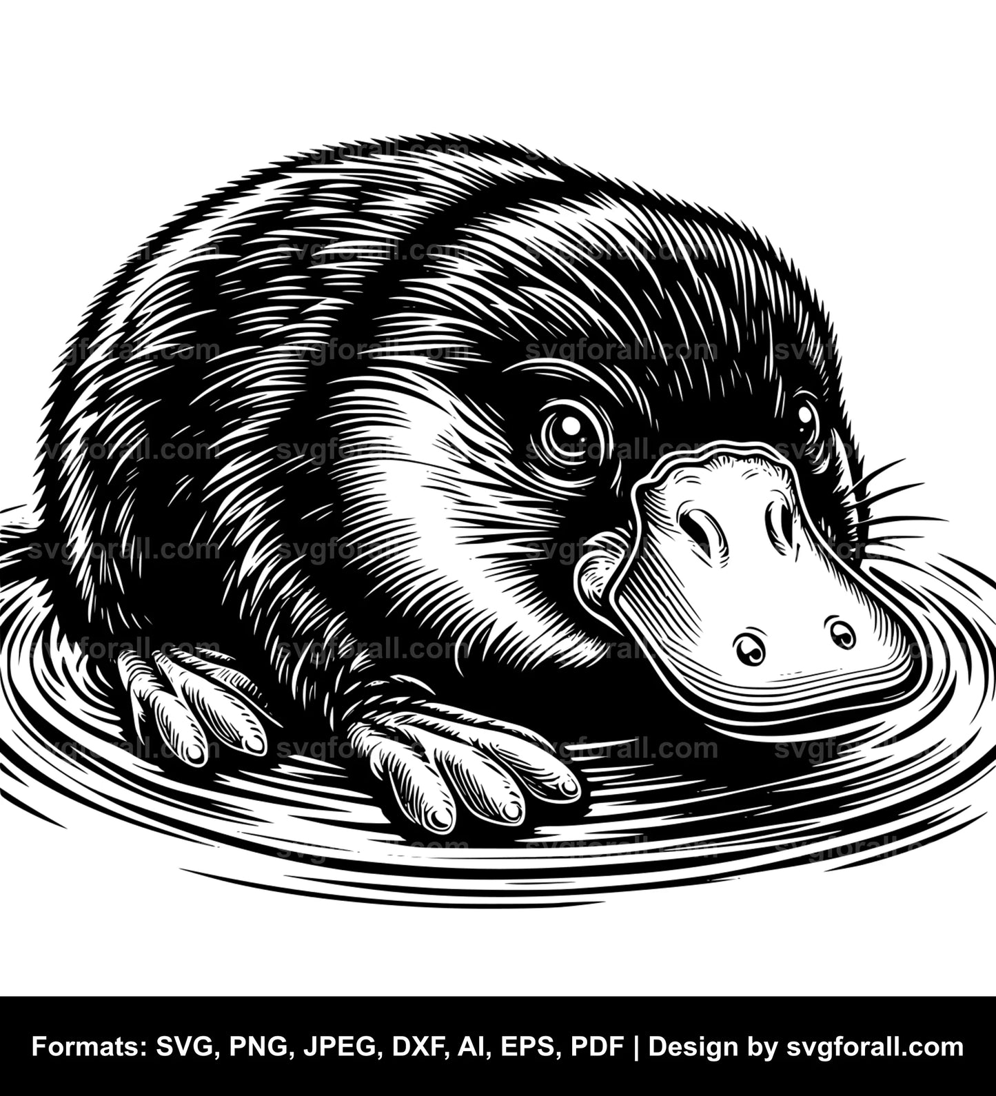 Platypus Black SVG