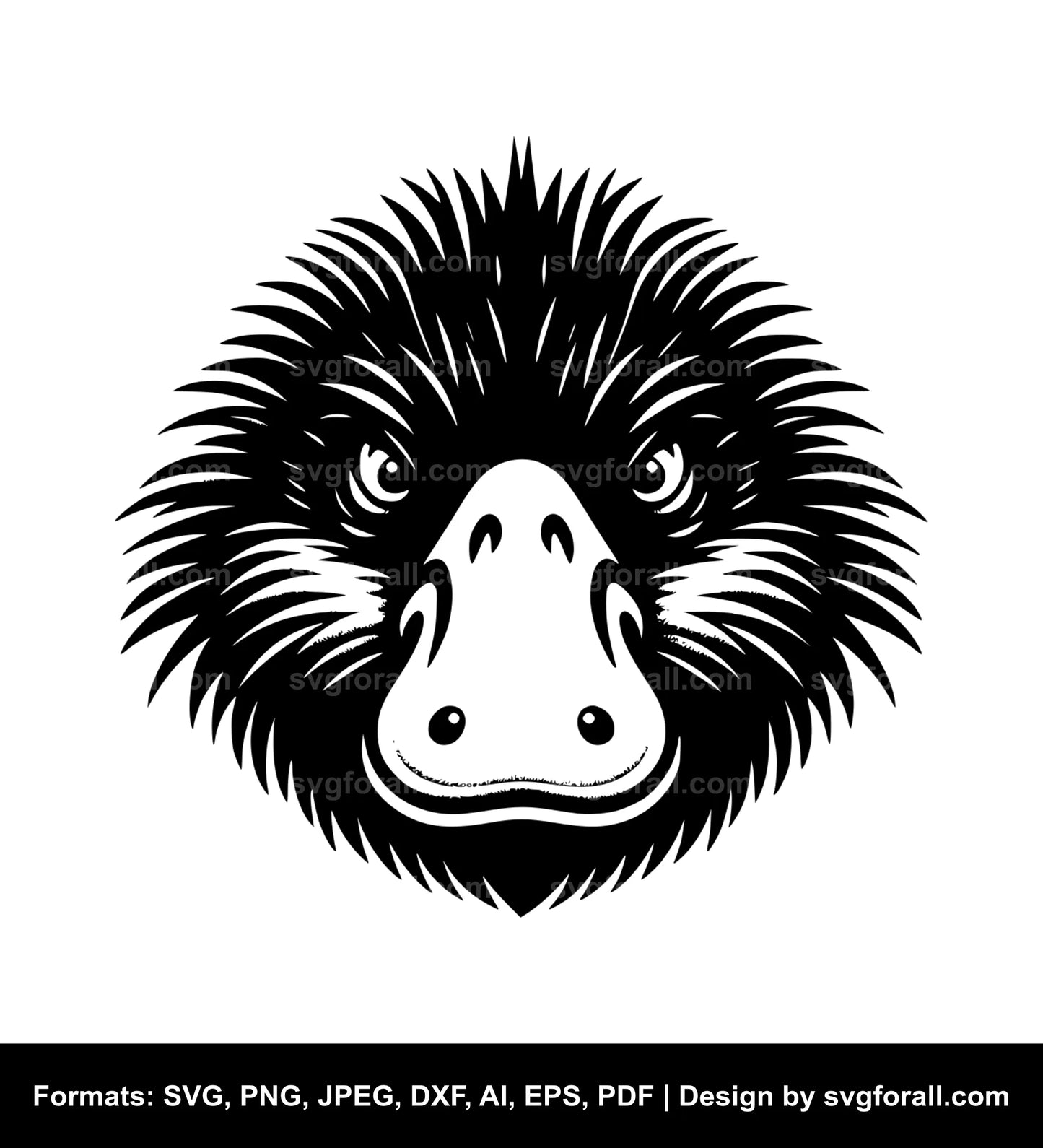 Platypus Vector SVG