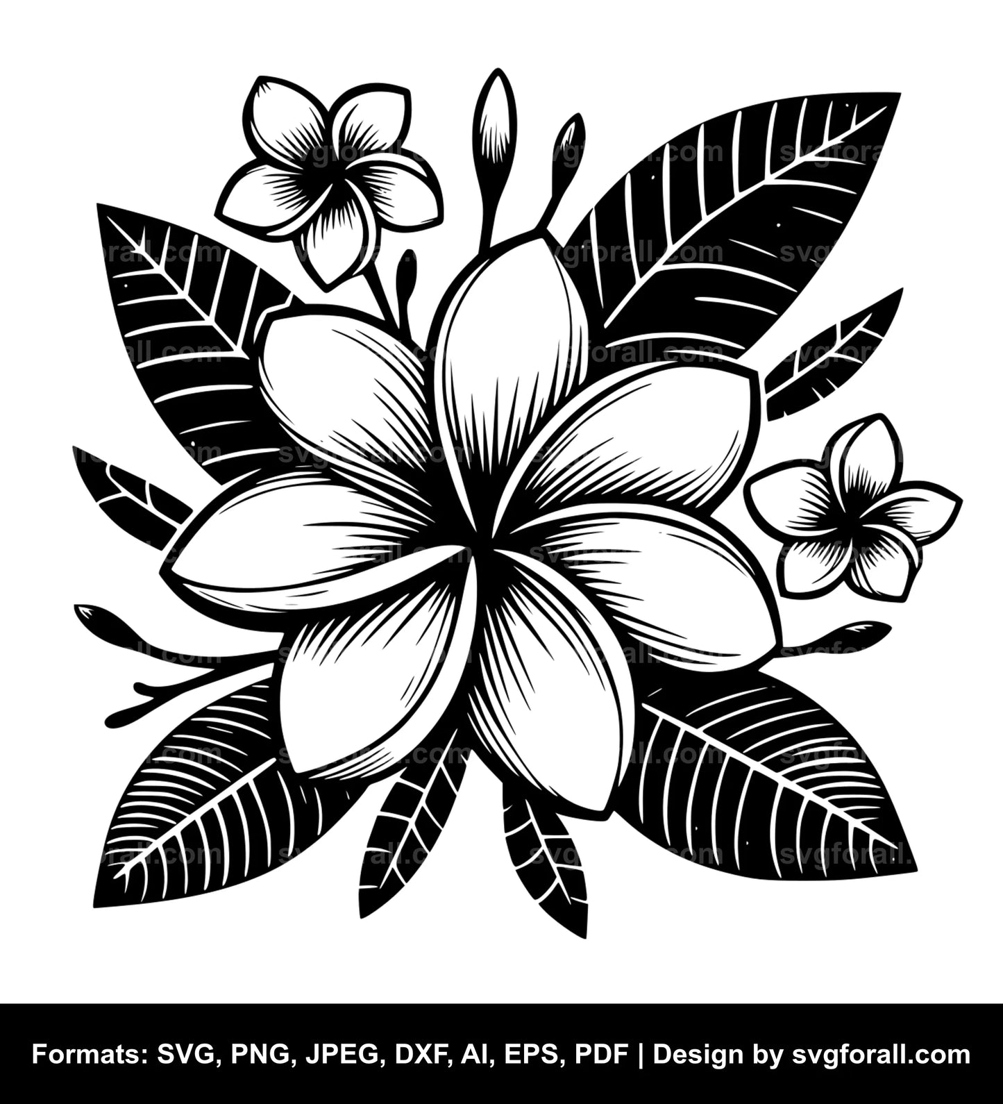 Plumeria Flower SVG