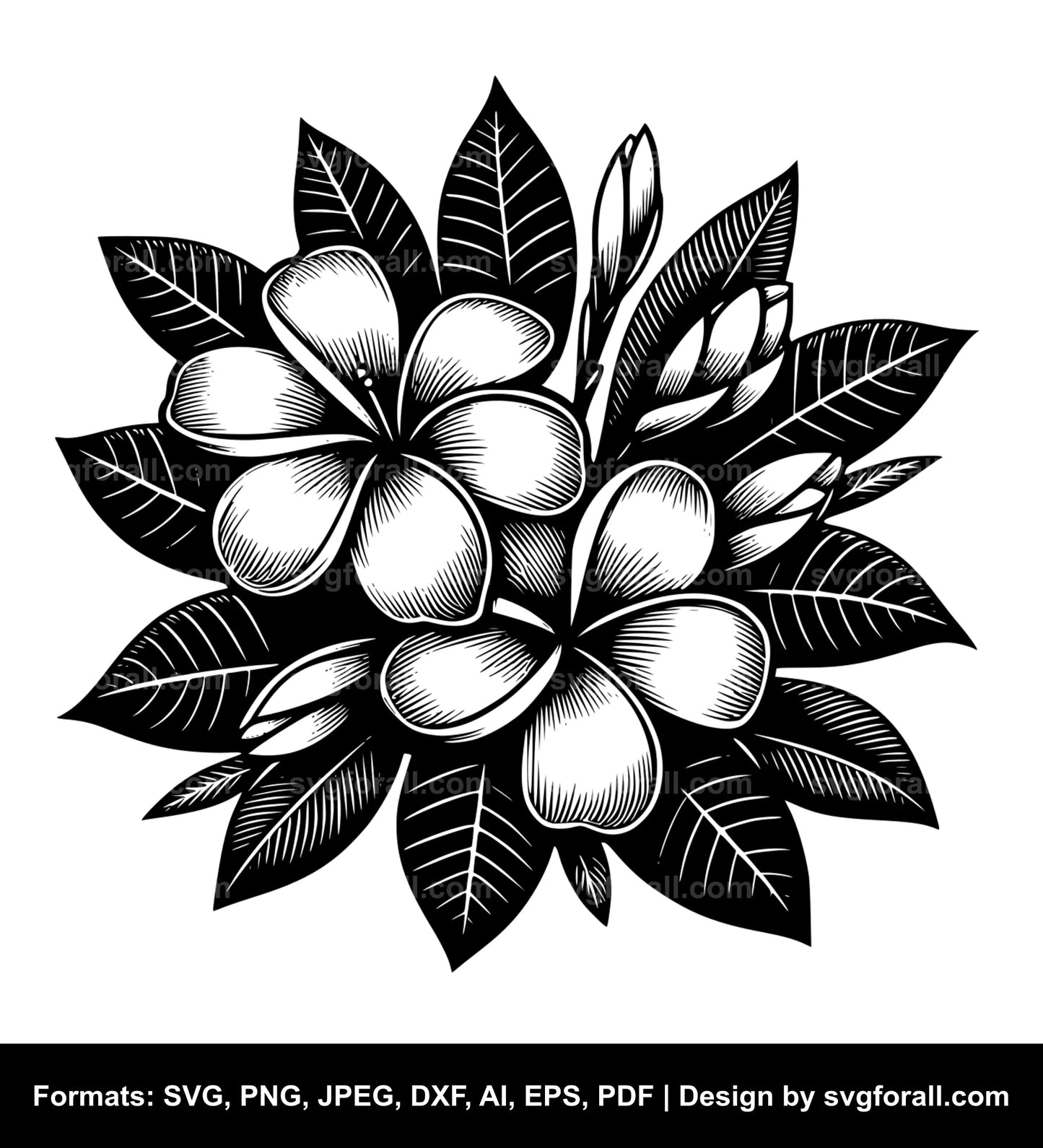 Plumeria Flower SVG File