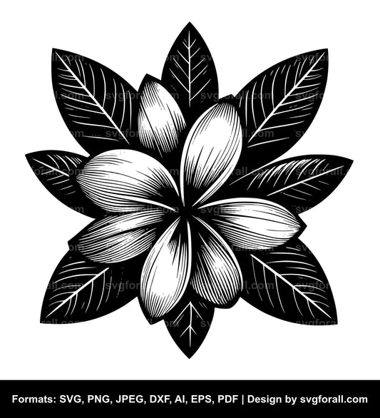 Plumeria Flower SVG PNG