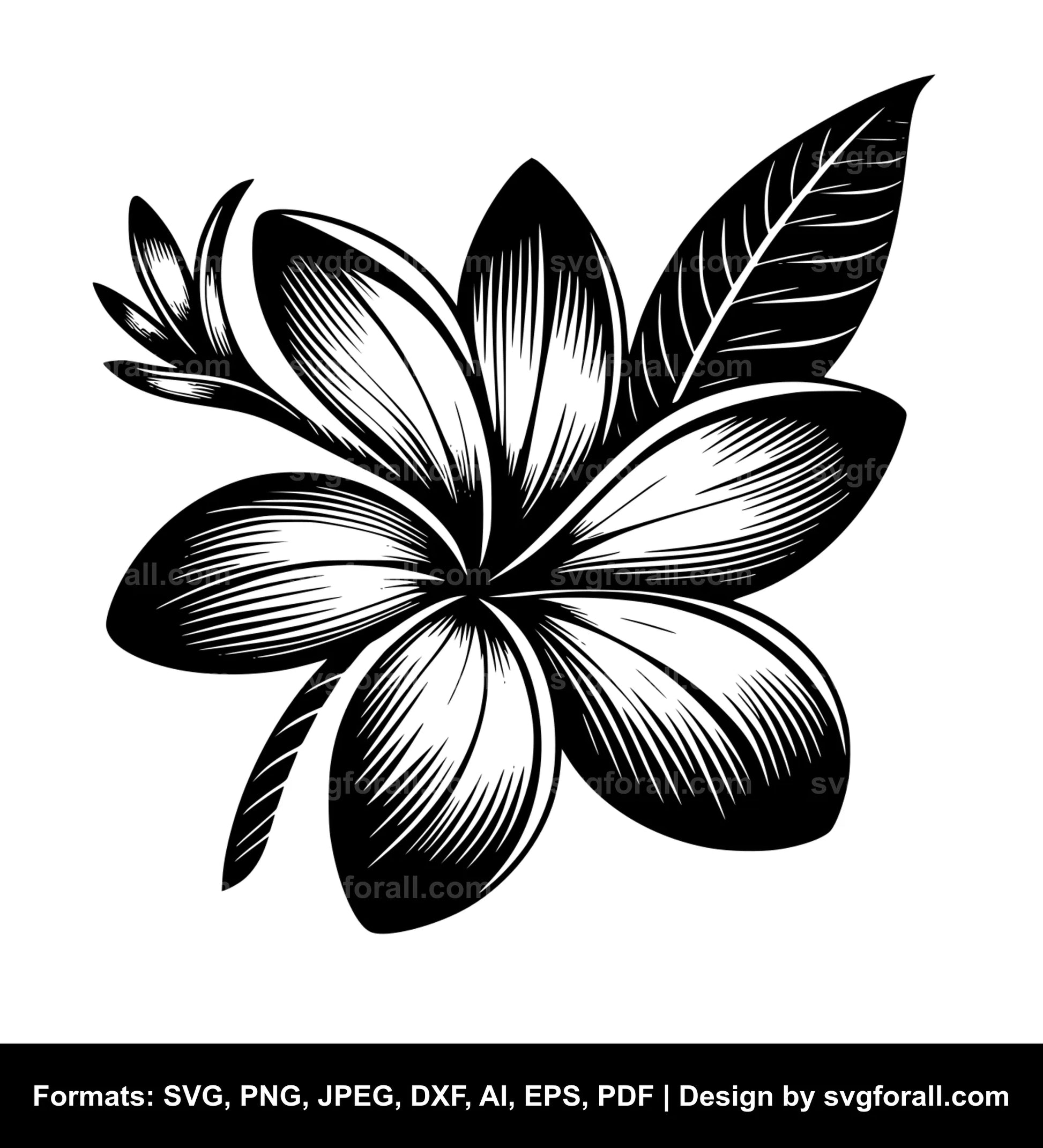 Plumeria Flower SVG Vector