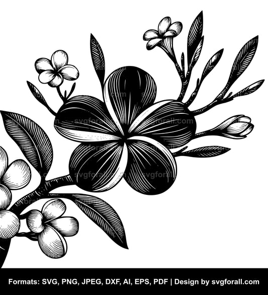 Plumeria Flower Vector SVG