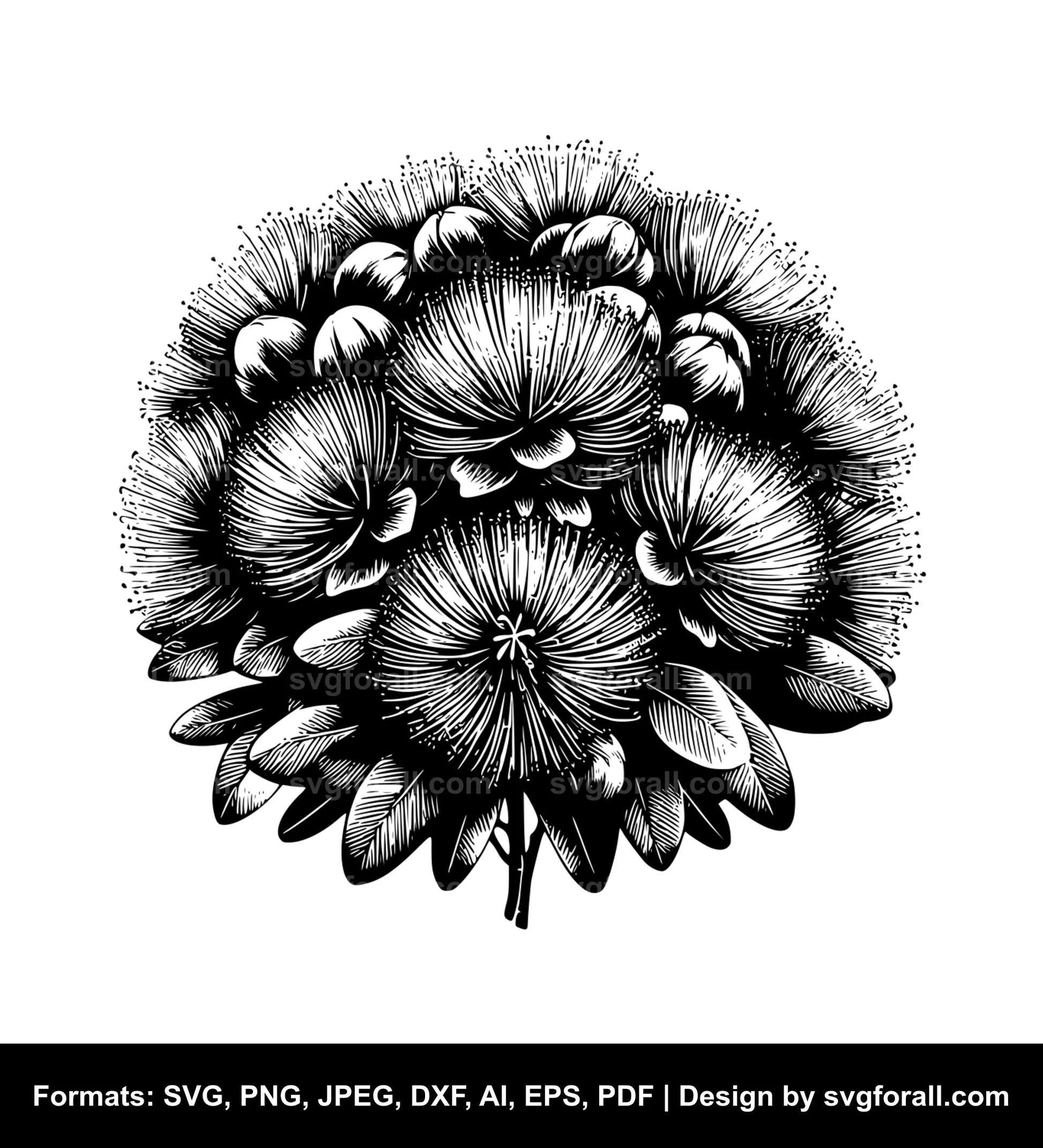 Pohutukawa Flower Black SVG