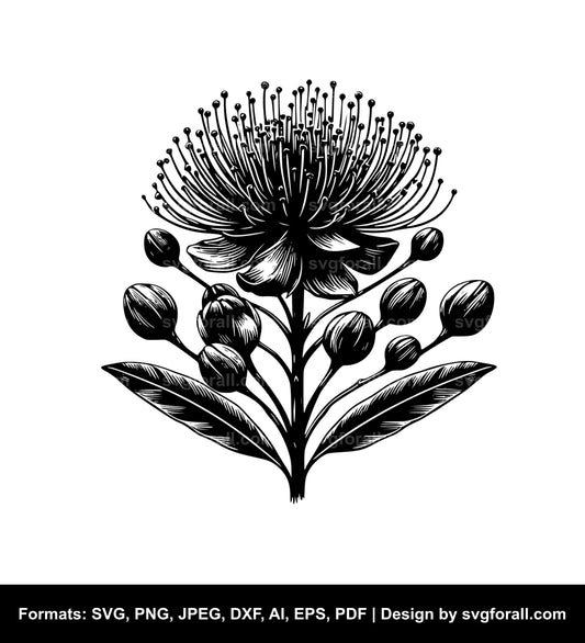 Pohutukawa Flower SVG PNG