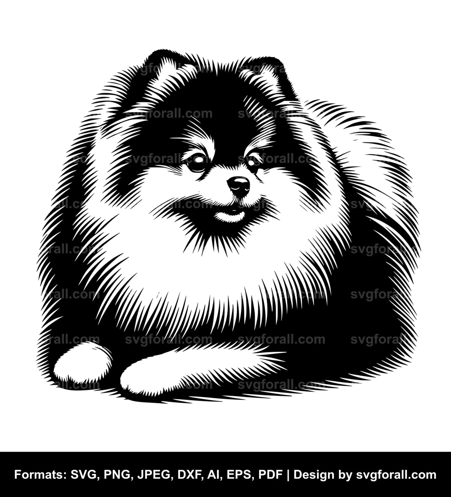 Pomeranian Dog SVG PNG