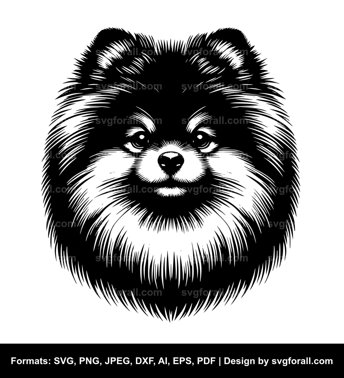 Pomeranian Dog SVG Vector