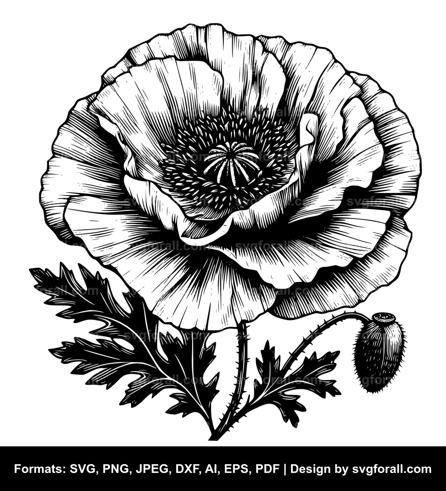 Poppy Flower SVG Design