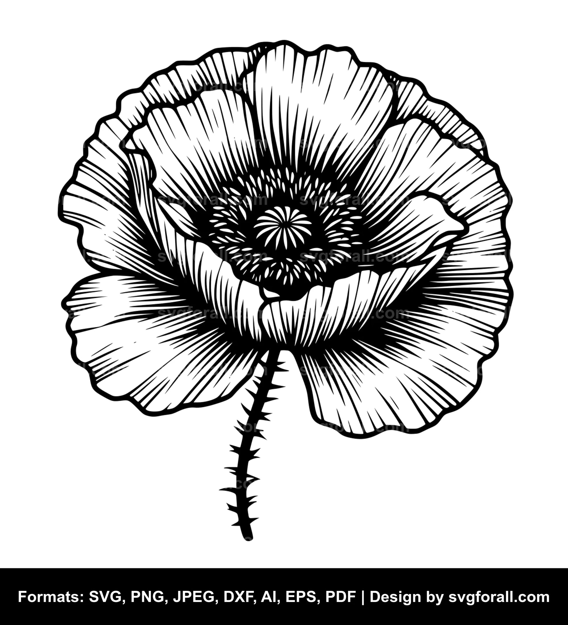 Poppy Flower SVG PNG