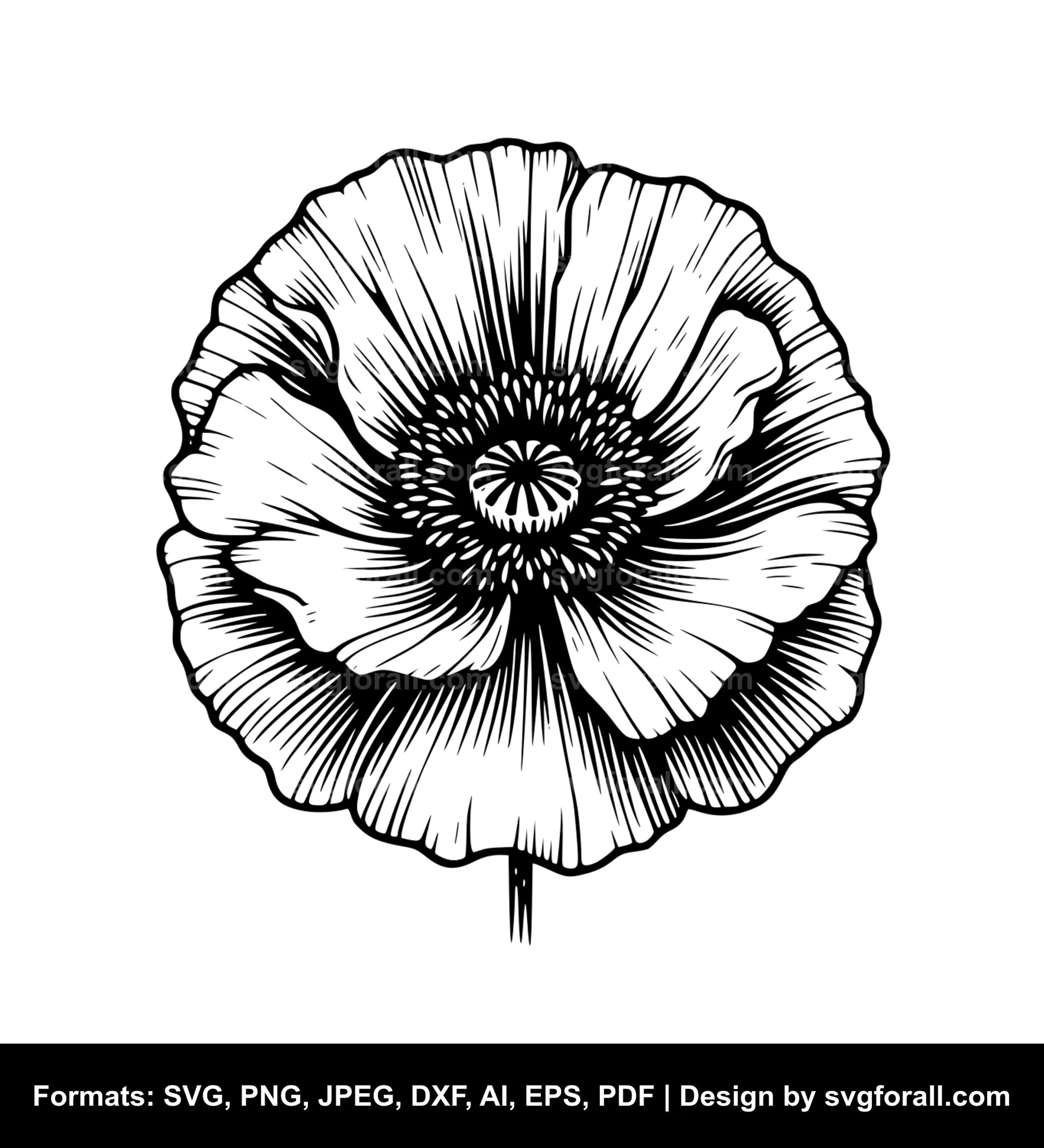 Poppy Flower SVG Vector