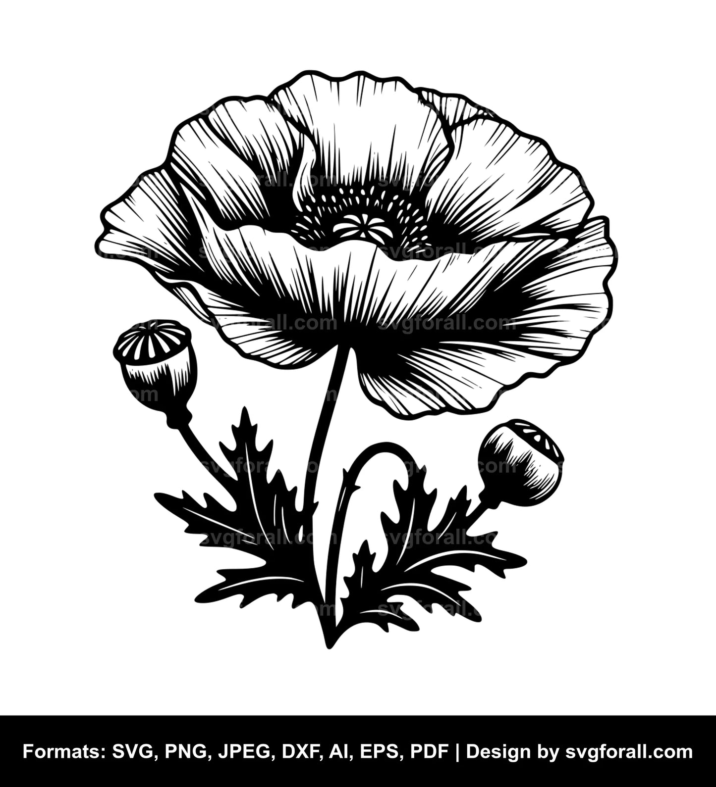 Poppy Flower Vector SVG