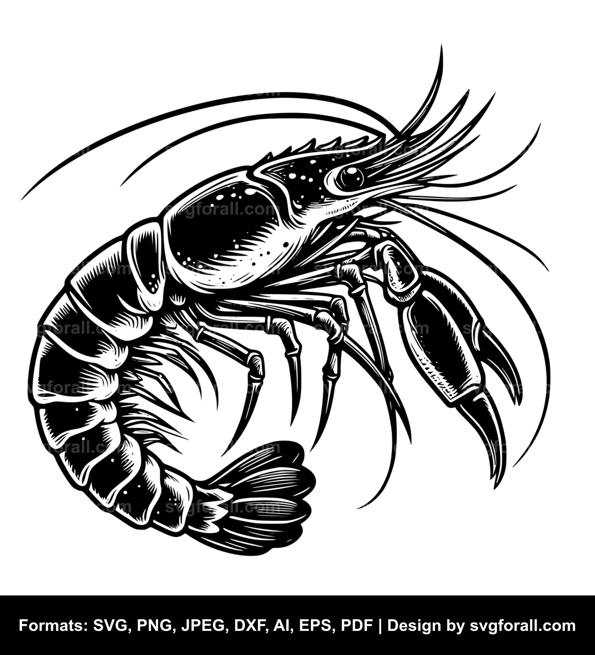 Prawn SVG Vector