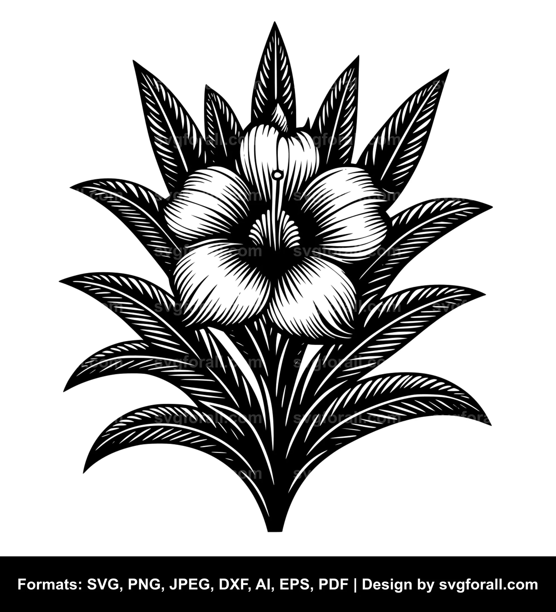 Puakenikeni Flower SVG Design