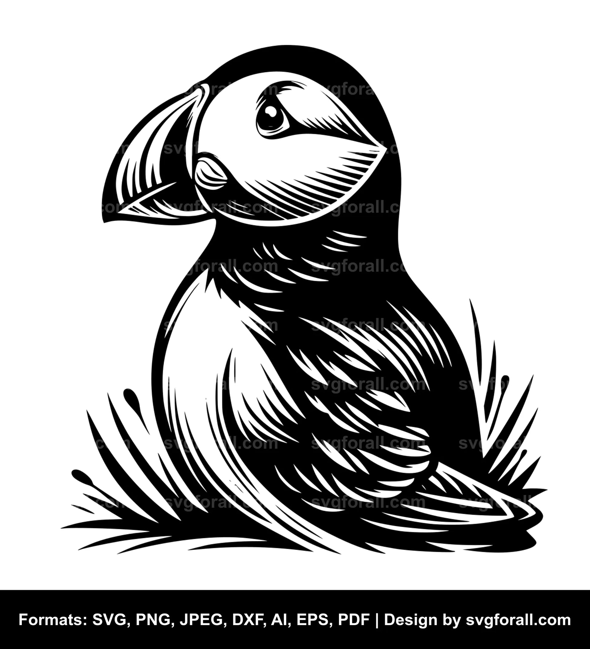 Puffin SVG PNG