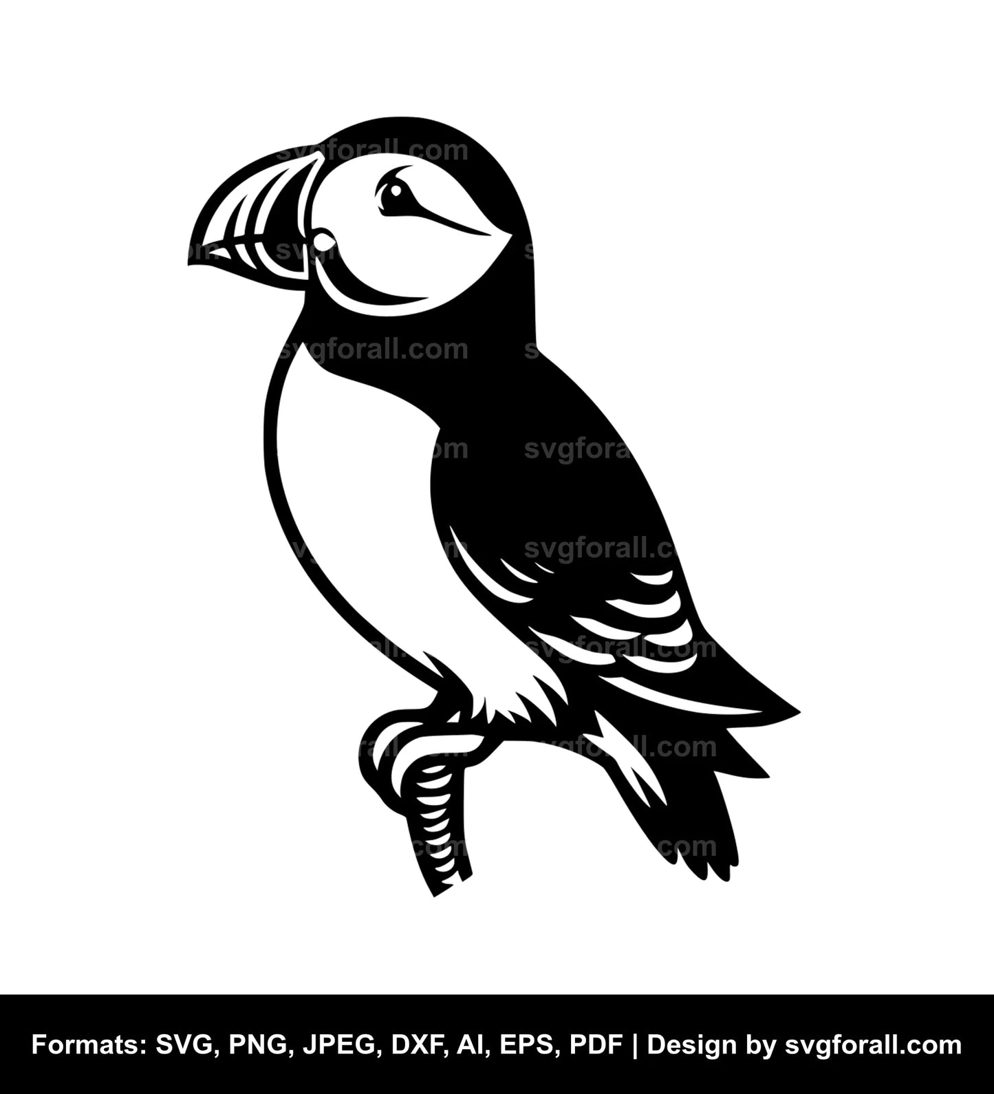 Puffin SVG Vector