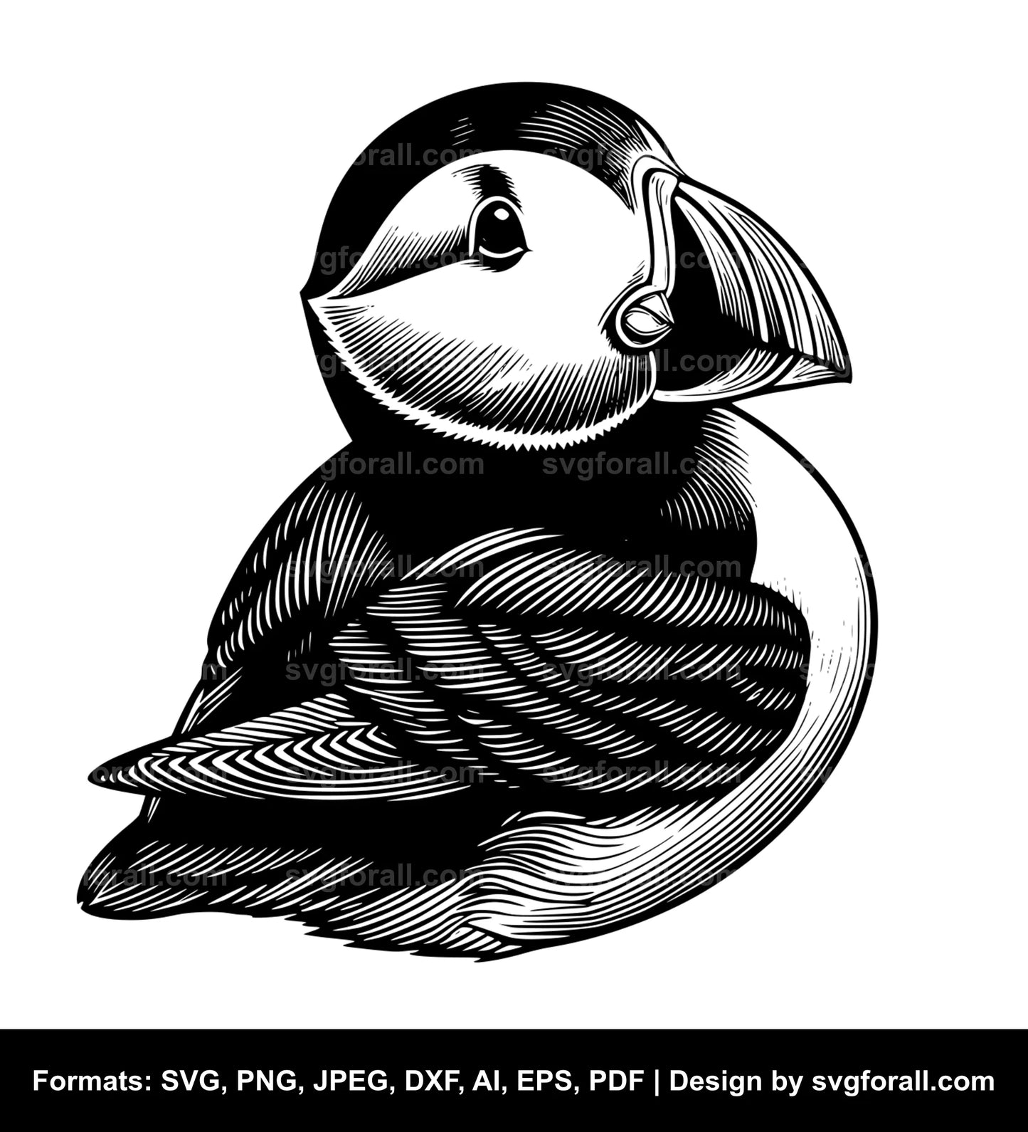 Puffin Vector SVG