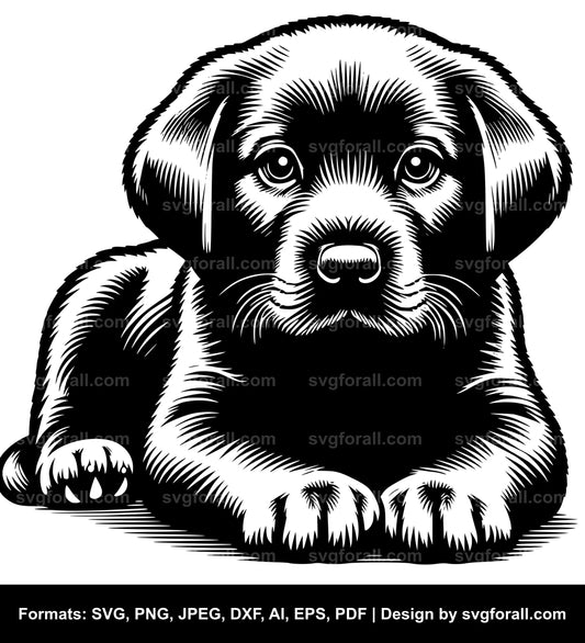 Puppy SVG Clipart