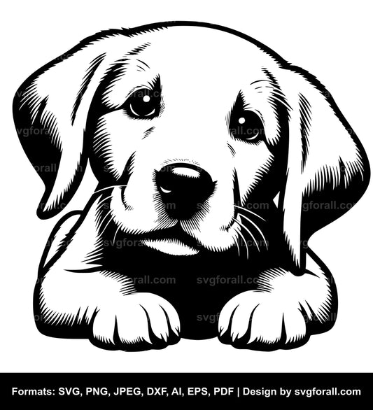 Puppy SVG Design