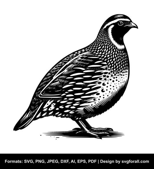 Quail Cricut SVG