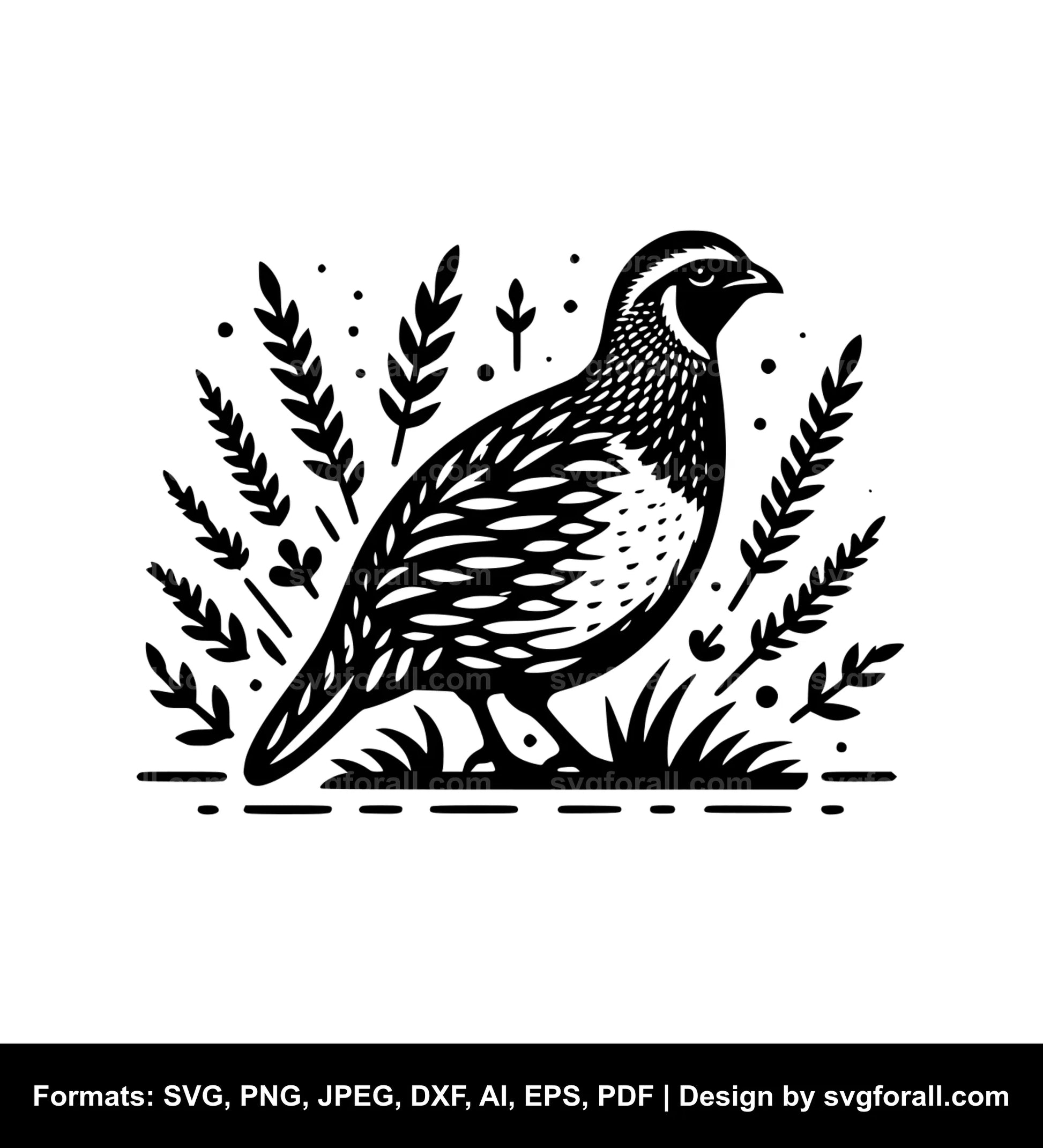 Quail SVG