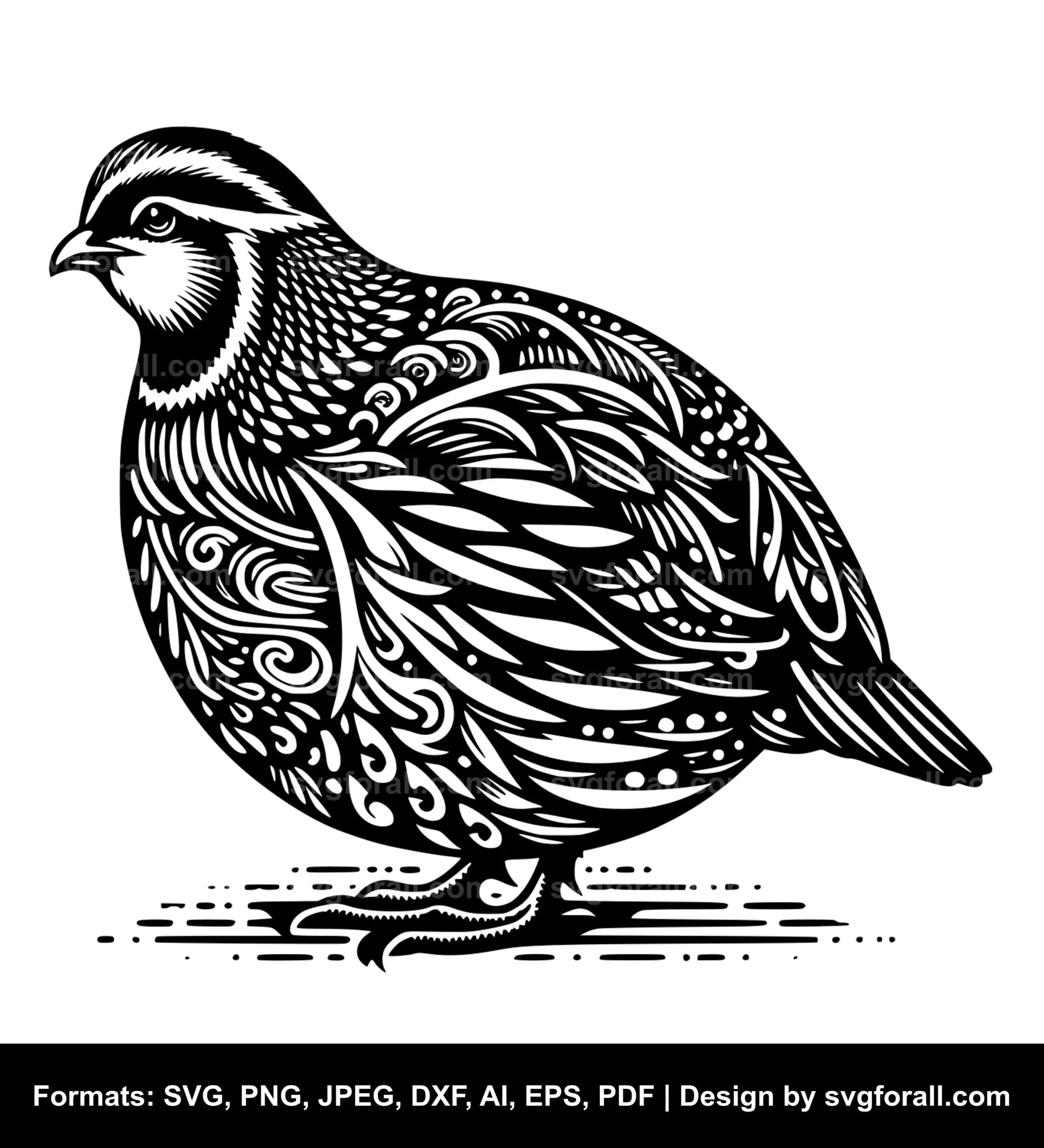 Quail SVG File