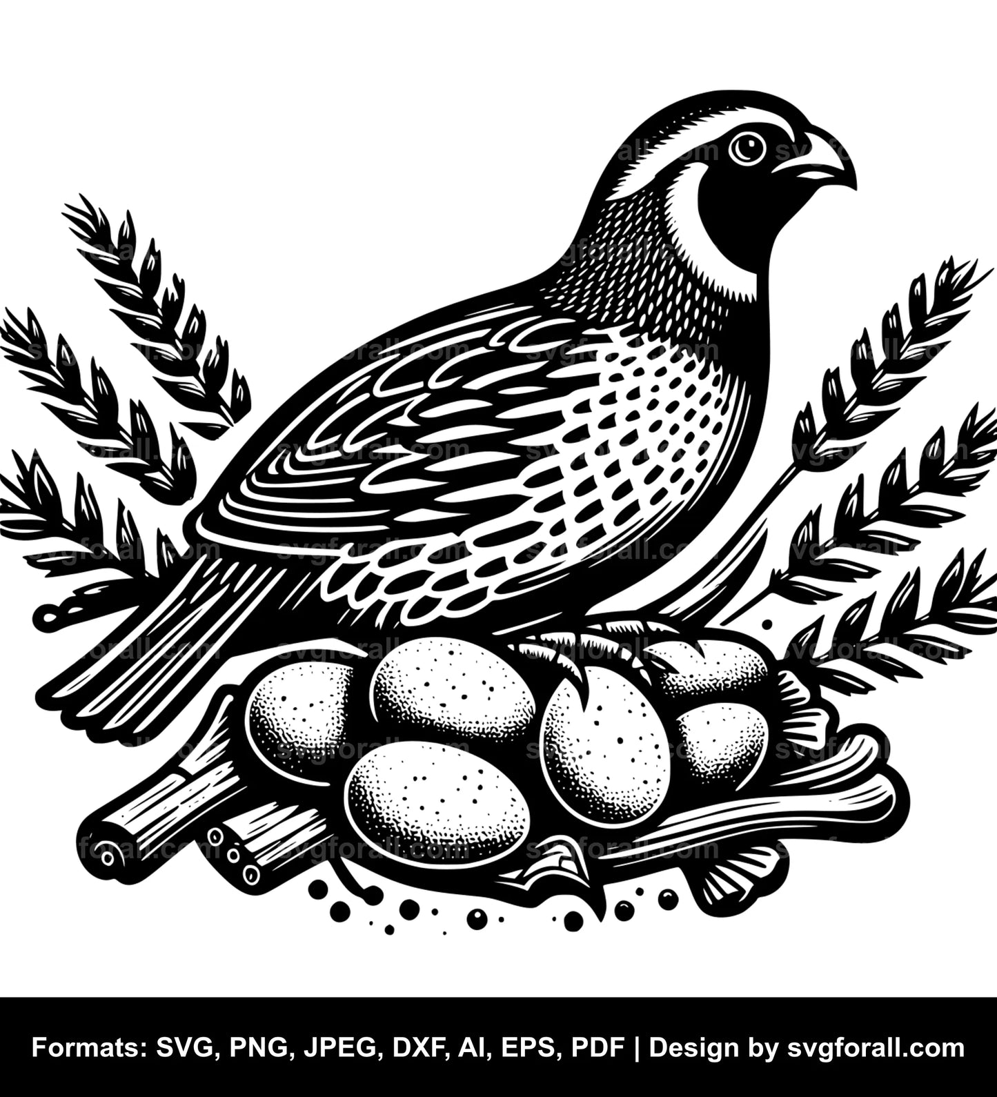 Quail Vector SVG