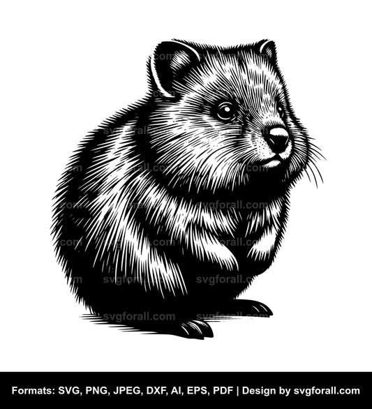 Quokka SVG File