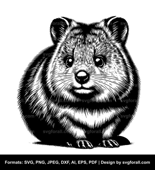 Quokka SVG PNG