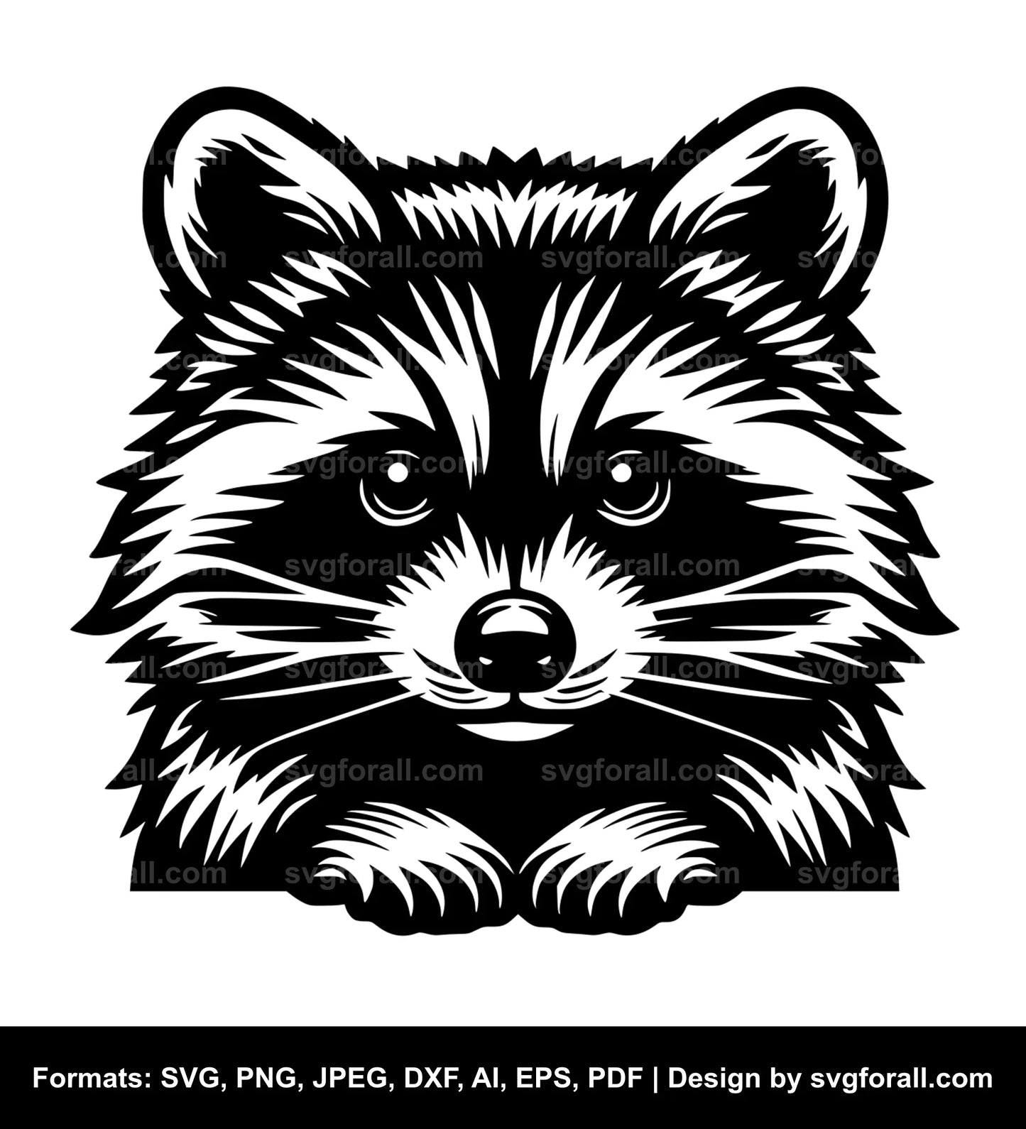 Raccoon Black SVG