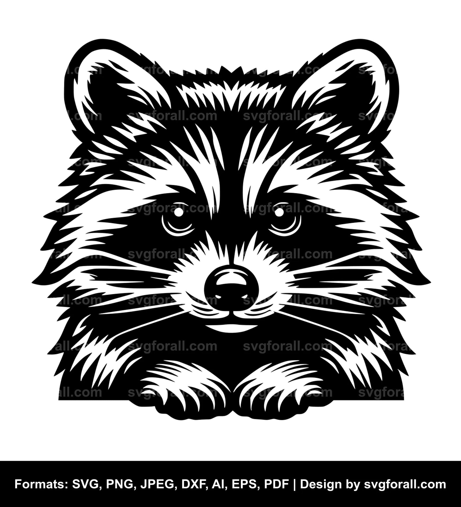 Raccoon Black SVG